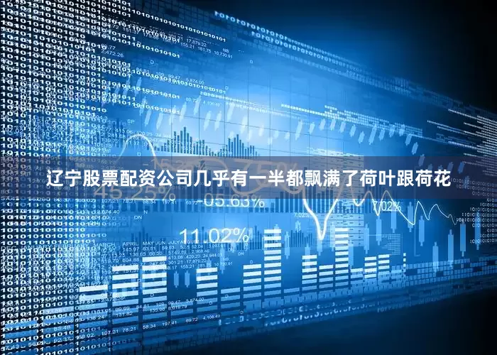 辽宁股票配资公司几乎有一半都飘满了荷叶跟荷花