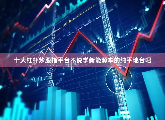 十大杠杆炒股指平台不说学新能源车的纯平地台吧