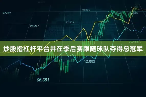 炒股指杠杆平台并在季后赛跟随球队夺得总冠军